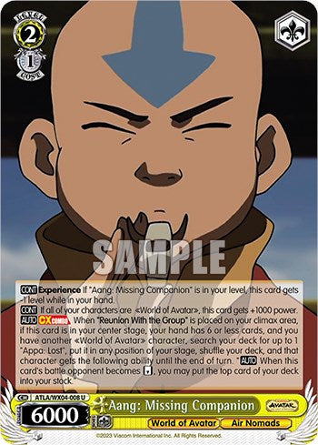 Aang: Missing Companion [Avatar: The Last Airbender]