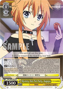 Mystery Hot Pot Party, Kaguya [Date A Live Vol.2]