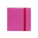 Dex Binder 12