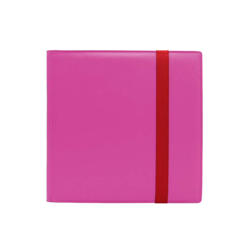 Dex Binder 12